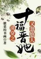 清穿之十福晋她又忽悠人