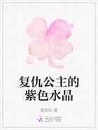 复仇公主的紫色水晶